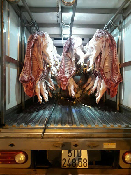 Chiếc xe tải bị phát hiện vận chuyển lô thịt heo bệnh vào Sài Gòn