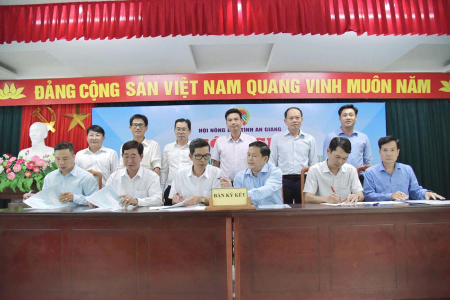Các đơn vị ký kết thi đua năm 2026.
