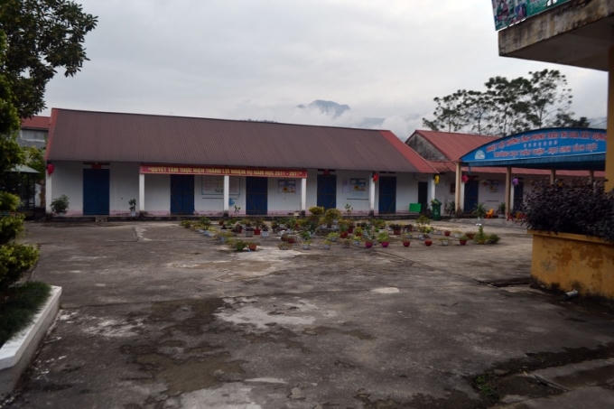 Nhiều trường phải cho học sinh nghỉ học vì nạn kiến ba khoang.
