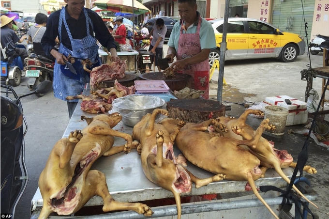 Chợ thịt chó ở thành phố Ngọc Lâm, Trung Quốc. (Ảnh: AP)