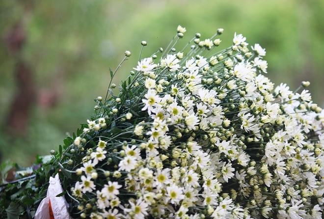 Ngoài việc bán hoa, vài năm gần đây người dân có thêm thu nhập nhờ dịch vụ chụp ảnh trong vườn nở rộ. Sau hoa hướng dương, hoa cải, hoa bươm bướm, thì cúc họa mi mang đến cảm hứng cho nhiều bạn trẻ. Mỗi nhà vườn thu trung bình 20.000 đồng một người cho một lần vào chụp ảnh.