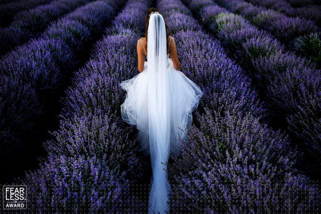Nhiếp ảnh gia Marius Stoica sử dụng cánh đồng hoa oải hương tím để làm nổi bật lên trang phục trắng của cô dâu trong một bức ảnh chụp năm 2019.