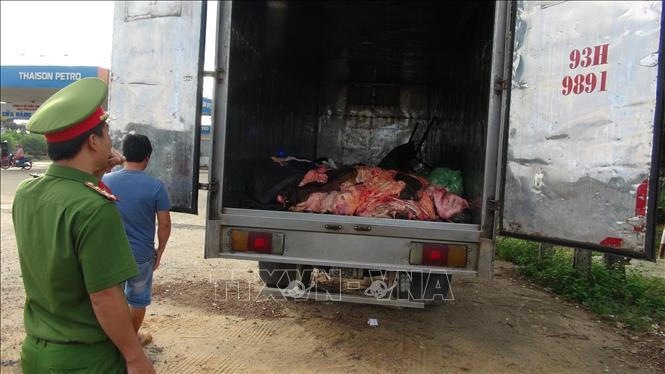 Xe tải chở 1,4 tấn sản phẩm động vật bốc mùi hôi thối bị cơ quan chức năng bắt giữ.