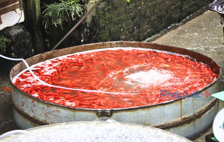 Theo quan niệm của người Việt, Táo quân không chỉ là vị thần cai quản mọi hoạt động của gia chủ mà còn là vị thần ngăn cản sự xâm phạm của ma quỷ, giữ bình yên cho gia đình gia chủ. Vì vậy, tục cúng ông Táo mang ý nghĩa cầu mong cho sự ấm no, đầy đủ, sau đó mới đến ý nghĩa thờ "thần Bếp" chuyên cai quản việc bếp núc.

			Vào ngày này, người dân làm mâm cơm để bày tỏ lòng biết ơn với các vị thần. Đồng thời, đây cũng là dịp để người người, nhà nhà trở về sum họp, quây quần sau một năm làm ăn vất vả...