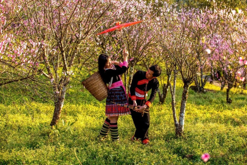 Đến Bản Sin Suối Hồ vào mùa xuân, du khách sẽ được chiêm ngưỡng và ghi lại những khoảnh khắc đẹp của vườn đào đang nở hoa rực rỡ. Ảnh: CTTĐT Lai Châu.