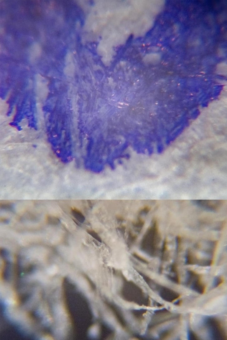 Loạt ảnh hé lộ những điều diệu kì của thế giới mà có thể bạn sẽ không bao giờ ngờ tới - Ảnh 6.