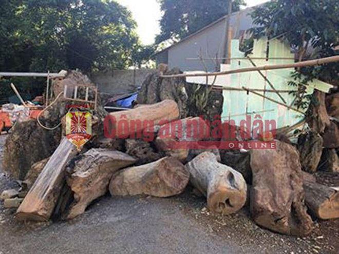 Trong khuôn viên ngôi nhà đối tượng bố trí nhiều khúc gỗ nhằm xây dựng "bong ke" lô cốt chống trả khi cần thiết