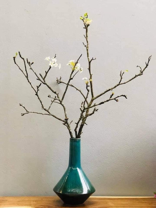 Nhiều gia đình đã nhanh chóng mua hoa lê rừng sớm về cắm. Ảnh Bí ngô hoa tươi