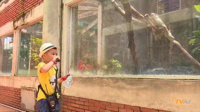 &nbsp;N&oacute; giống con y&ecirc;u qu&aacute;i ba ơi!