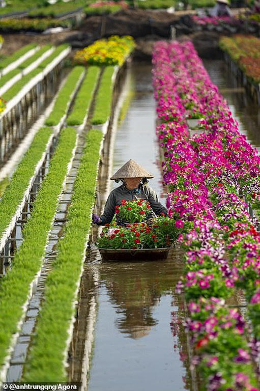 Ảnh: Suối Yến của Việt Nam đạt giải nhất cuộc thi Nhiếp ảnh mùa xuân 2020 - Ảnh 8.