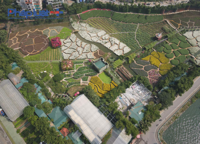 org_87ea87162771c94d_1606280202000