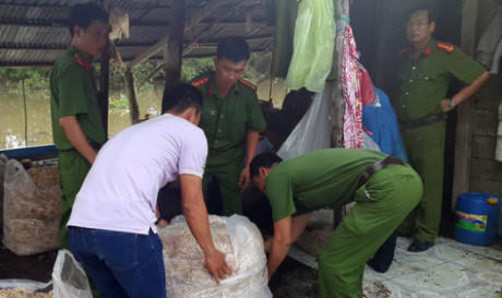 200kg bắp chuối bào ngâm chất tẩy trắng bị bắt quả tang (Ảnh: Huy Phách)