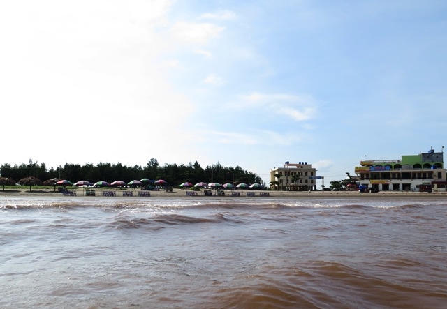 Thông tin cá, ngao, sứa chết ở biển Cồn Vành là thất thiệt