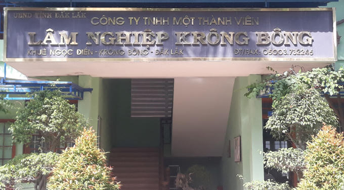 Vụ khai thác gỗ khủng trách nhiệm thuộc về Công ty TNHH MTV Lâm nghiệp Krông Bông