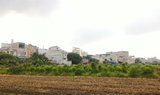 Những ng&ocirc;i nh&agrave; ki&ecirc;n cố &ldquo;mọc&rdquo; tr&ecirc;n đất n&ocirc;ng nghiệp.