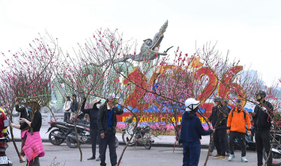 Những cuộc mặc cả càng làm cho không khí chợ hoa thêm sôi động