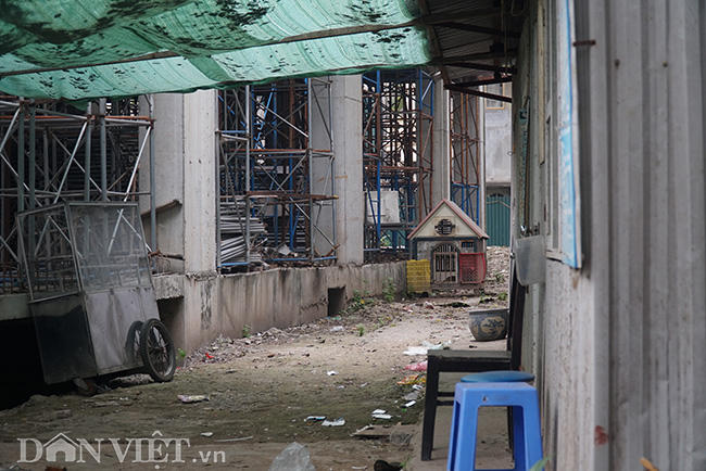 Lo-so-nhieu-nam-troi-khi-song-chung-voi-cau-thap-lo-lung-tren-dau----nh-12-1552624525-width650height434