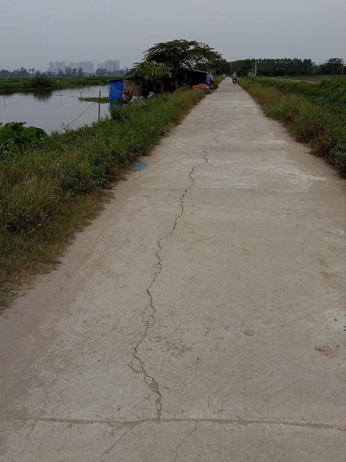 Vết nứt chạy dài theo đường.
