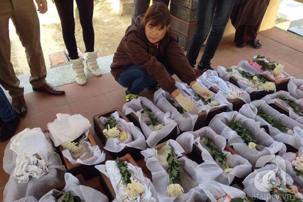 Rất nhiều những sinh linh này đang cần một nghĩa trang đúng nghĩa