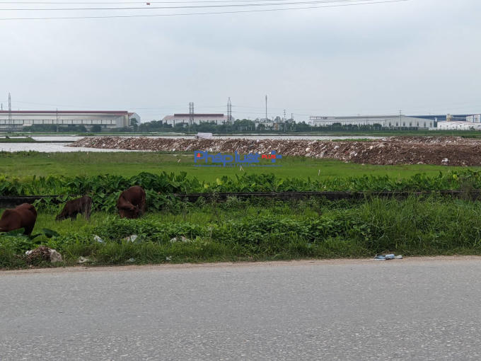 Địa điểm vi phạm của Công ty TNHH Hưng Tài Phát.