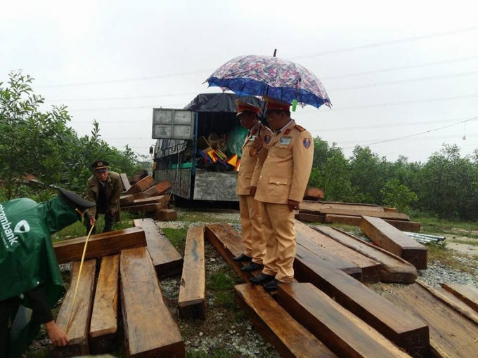 Lực lượng chức năng đang kiểm đếm gỗ.