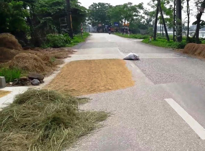 Sân phơi công cộng của bà con.