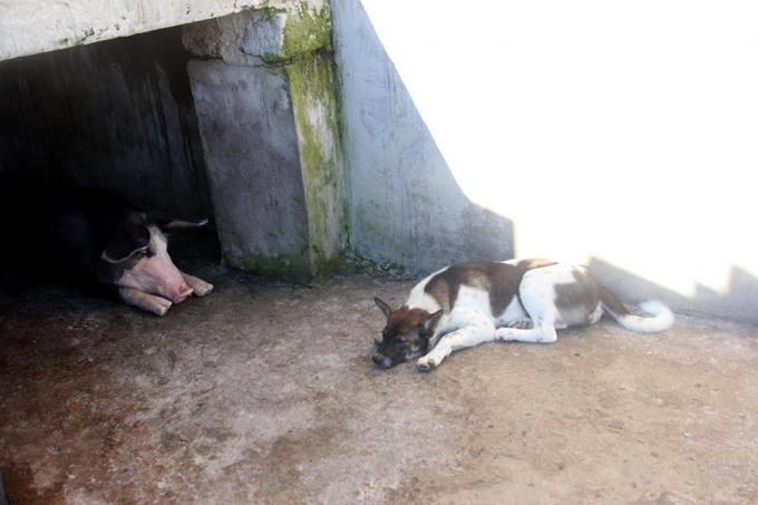 Đội đặc nhiệm đêm tỉnh hơn ngày ở Trường Sa