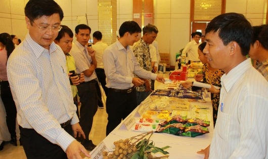 Ông Trương Quang Hoài Nam tham quan và trao đổi với các tổ hợp tác xã, doanh nghiệp.