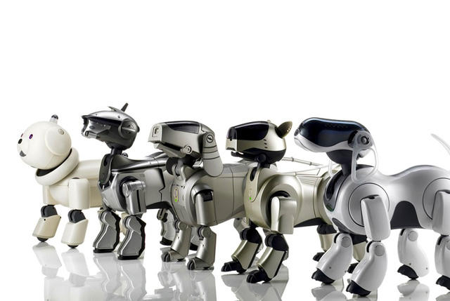 Robot th&uacute; cưng sắp sửa tr&agrave;n ngập thị trường