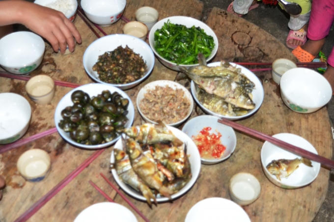 Chùm ảnh: Hoàng Su Phì vào mùa cá chép ruộng