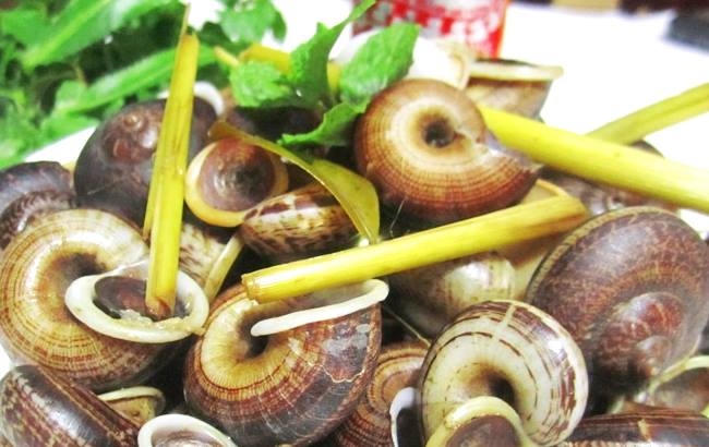 Mấy năm trở lại đây ốc núi trở thành đặc sản mới nổi của Ninh Bình