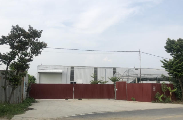 Hải Phòng: Huyện An Dương “im lặng” trước hàng loạt sai phạm đất đai, đê điều
