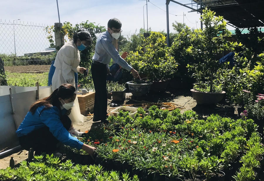 Mô hình này đặc biệt thuận lợi khi kết hợp nuôi ở các trại hoa, farm, vườn cây trái cho khách du lịch tham quan, mua sắm tại vườn (Ảnh: Đức An).