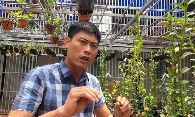 Anh Nguyễn Thanh Xuân trong vườn lan đột biến gene giá