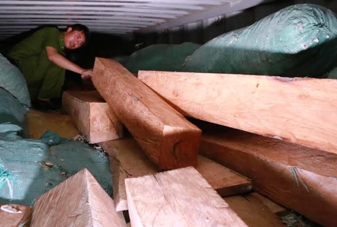 170 lóng gỗ Gõ đỏ được phát hiện cất giữ trong xe container kèm hàng chục tấn sắn.