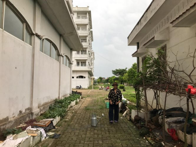Một số hộ dân liền kề dự án tiếc cho đất bỏ hoang đã tranh thủ trồng rau