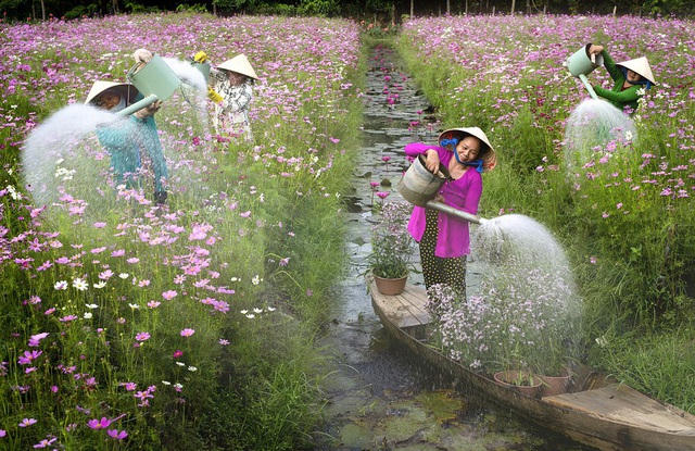 Bức “Watering flowers” (Tưới hoa) của @giaphu86