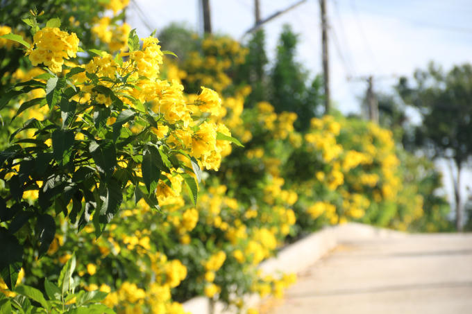 hinh 6 (2)