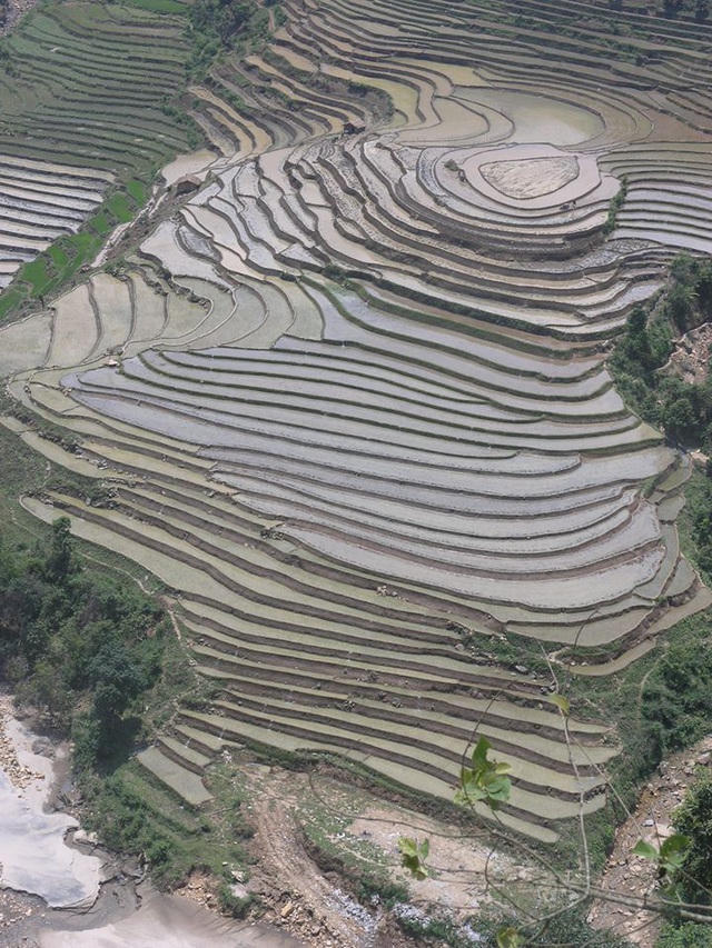 Mãn nhãn với khu ruộng bậc thang mùa nước đổ ở vùng cao Sa Pa