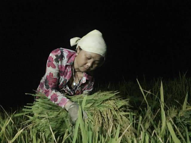 Bắc Giang: Tr&aacute;nh nắng