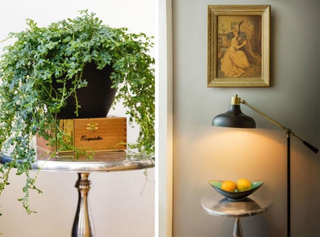 Những chậu c&acirc;y cảnh tươi xanh c&ugrave;ng những phụ kiện đẹp tinh tế.