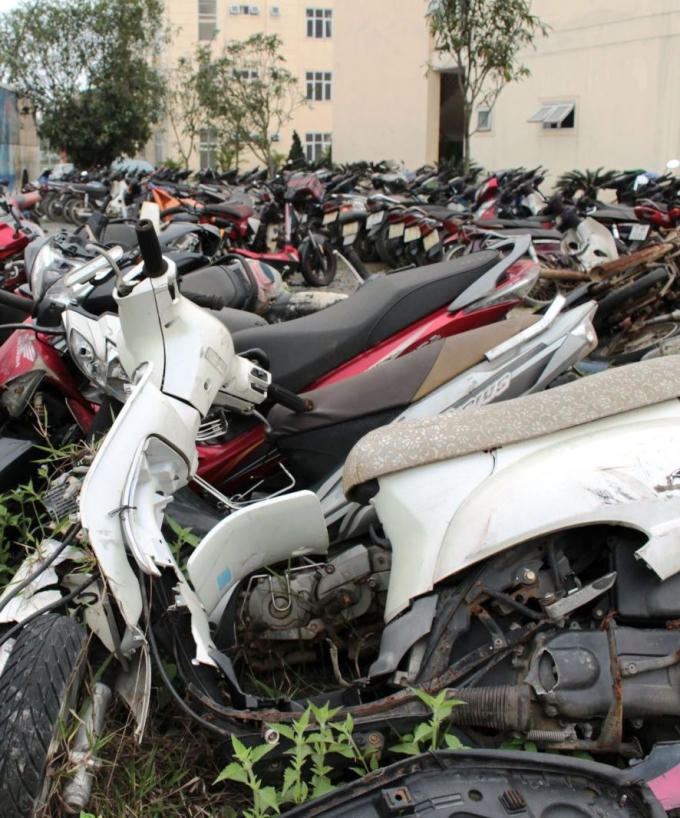 Nhiều xe rất đẹp nhưng tan hoang trong cây cỏ.
