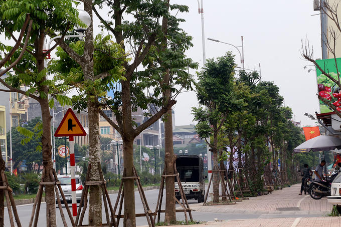 Tuyến đường được đầu tư đồng bộ hạ tầng kỹ thuật, cấp thoát nước, chiếu sáng, cây xanh, hạ ngầm toàn bộ đường dây điện và cáp viễn thông.