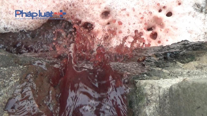 Người dân tại đây cho biết, từ nhiều năm nay lò mổ lợn Minh Hiền hàng ngày xả chất thải gây ô nhiễm môi trường, khiến các con sông bốc mùi hôi thối trầm trọng.