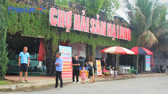 Sequence 04.00_00_20_17.Still002