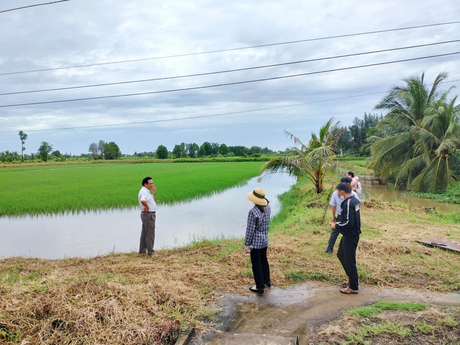 Mô hình lúa – tôm ở xã Đông Hải phát huy hiệu quả kinh tế, thích ứng điều kiện mặn – ngọt, góp phần nâng cao thu nhập cho người dân và phát triển nông nghiệp bền vững.