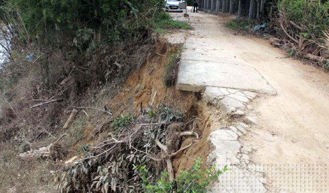 Tại địa bàn xã Lộc Yên, sông Ngàn Sâu đã nuốt chửng một diện tích lớn đất sản xuất, vườn tược, thậm chí là