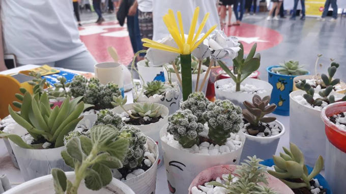 Những chiếc cốc, chai nhựa qua bàn tay của các bạn trẻ GFV được biến hóa thành những sản phẩm đẹp lung linh, rất bắt mắt và hữu dụng.