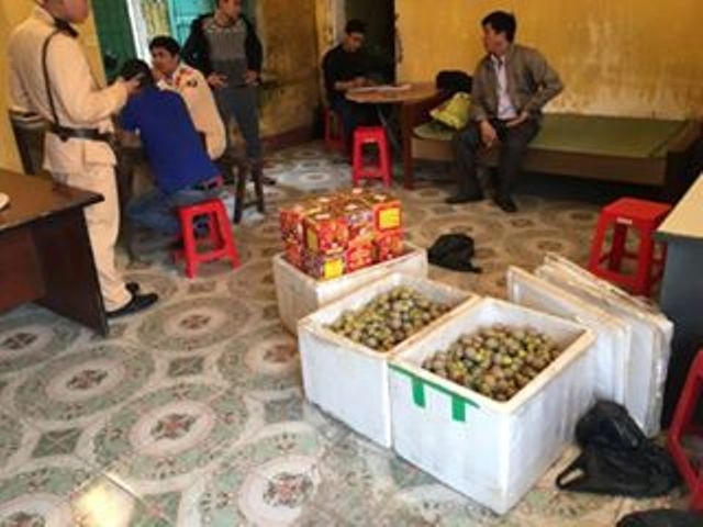 Số tang vật mà lực lượng chức năng thu giữ được.