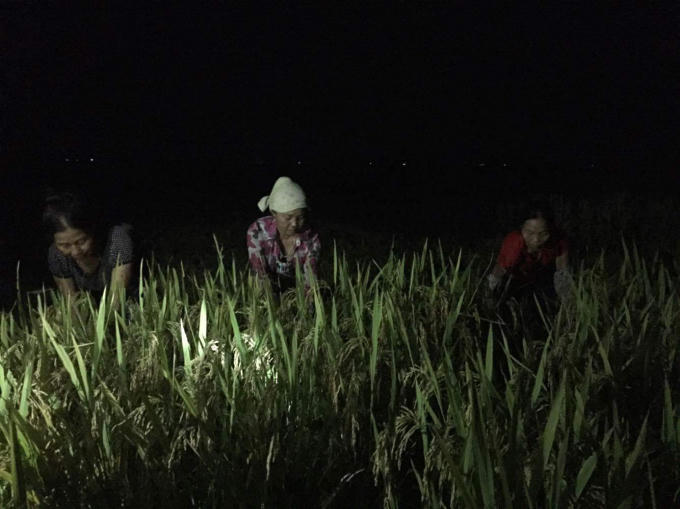 Bắc Giang: Tr&aacute;nh nắng